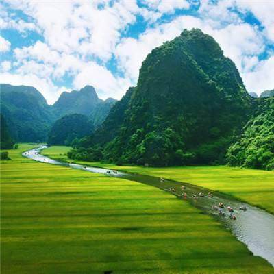 萌兽战歌手游下载